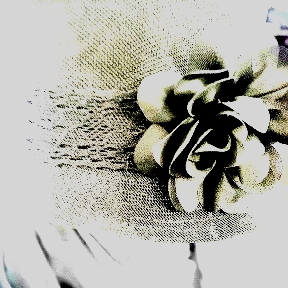 🖤 Classoc 🖤 - Picture 10 of 10